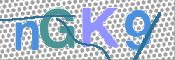 CAPTCHA 驗證圖片