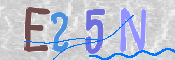 CAPTCHA 驗證圖片