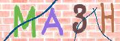 CAPTCHA 驗證圖片