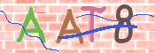 CAPTCHA 驗證圖片