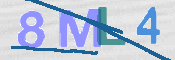 CAPTCHA 驗證圖片