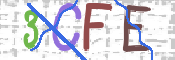 CAPTCHA 驗證圖片