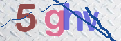 CAPTCHA 驗證圖片