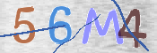 CAPTCHA 驗證圖片