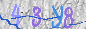 CAPTCHA 驗證圖片