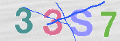 CAPTCHA 驗證圖片