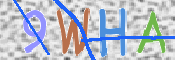 CAPTCHA 驗證圖片