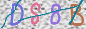 CAPTCHA 驗證圖片