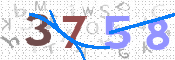 CAPTCHA 驗證圖片