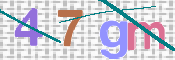 CAPTCHA 驗證圖片