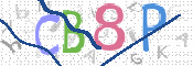 CAPTCHA 驗證圖片