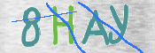 CAPTCHA 驗證圖片