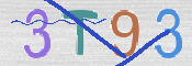 CAPTCHA 驗證圖片