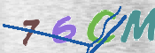 CAPTCHA 驗證圖片