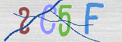 CAPTCHA 驗證圖片