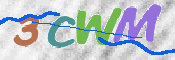 CAPTCHA 驗證圖片