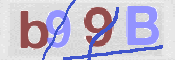 CAPTCHA 驗證圖片