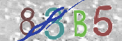 CAPTCHA 驗證圖片