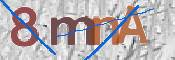 CAPTCHA 驗證圖片