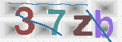 CAPTCHA 驗證圖片