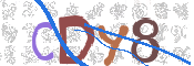 CAPTCHA 驗證圖片