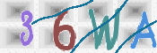 CAPTCHA 驗證圖片