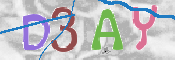 CAPTCHA 驗證圖片