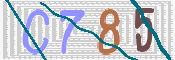 CAPTCHA 驗證圖片