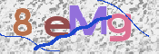 CAPTCHA 驗證圖片