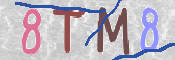 CAPTCHA 驗證圖片