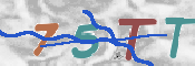 CAPTCHA 驗證圖片