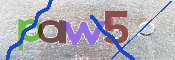 CAPTCHA 驗證圖片
