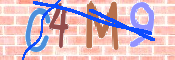 CAPTCHA 驗證圖片