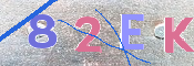 CAPTCHA 驗證圖片