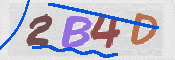 CAPTCHA 驗證圖片