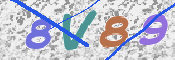 CAPTCHA 驗證圖片