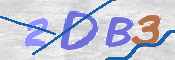 CAPTCHA 驗證圖片