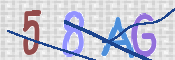 CAPTCHA 驗證圖片