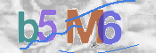 CAPTCHA 驗證圖片