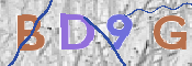 CAPTCHA 驗證圖片