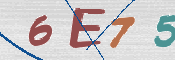 CAPTCHA 驗證圖片