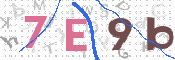 CAPTCHA 驗證圖片
