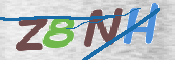 CAPTCHA 驗證圖片
