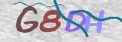 CAPTCHA 驗證圖片