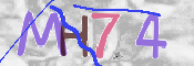 CAPTCHA 驗證圖片