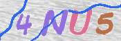 CAPTCHA 驗證圖片