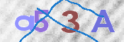 CAPTCHA 驗證圖片