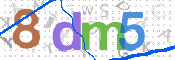CAPTCHA 驗證圖片