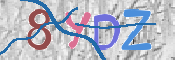 CAPTCHA 驗證圖片