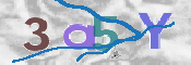 CAPTCHA 驗證圖片